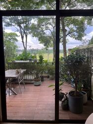 Holland Link (D10), Terrace #461061021